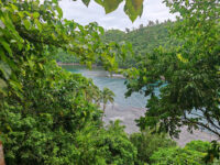 Our Lady of Lourdes Grotto Travel Forum Reviews