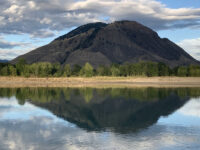 Overlander's Memorial Travel Forum Reviews