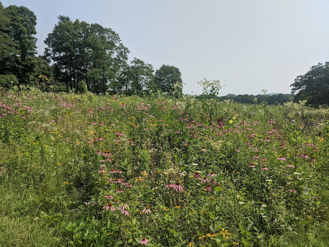 Owen Conservation Park