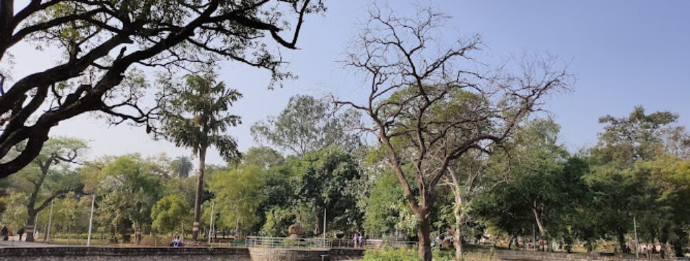 Oxyzone Park Travel Forum Reviews
