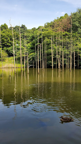 Oyamadairi Park