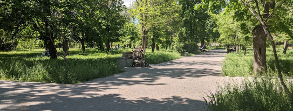 P.I. Starostin's Park Travel Forum Reviews