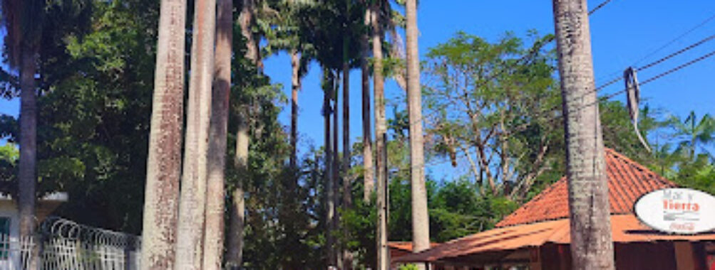 PASEO JUNÍN Travel Forum Reviews