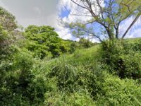 PLANTA DE TRATAMIENTO DE AGUAS RESIDUALES OMETEPEC Travel Forum Reviews