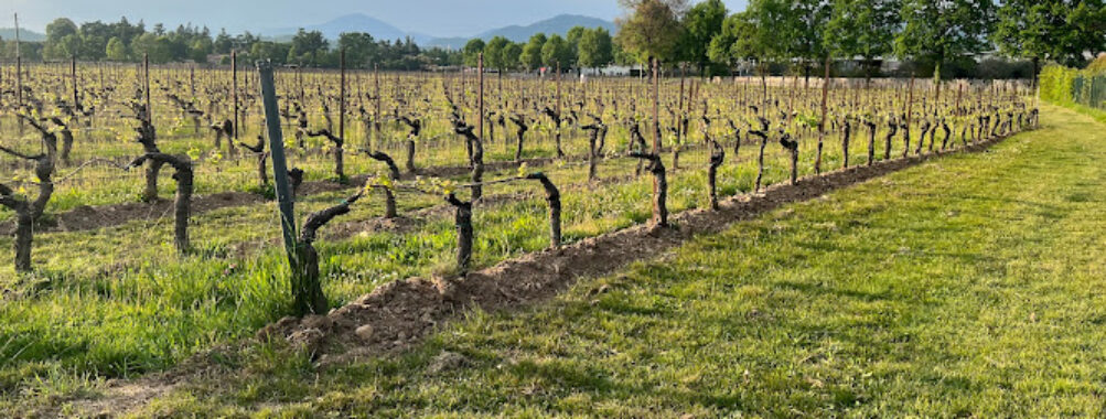 Paderno Franciacorta Travel Forum Reviews