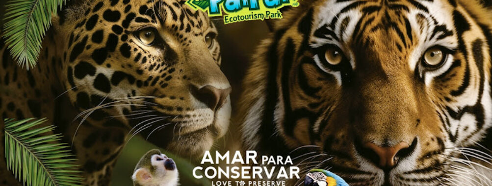 Pai Pai Ecotourism Park Travel Forum Reviews