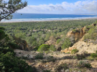 Paisagem Protegida da Arriba Fóssil da Costa de Caparica Travel Forum Reviews