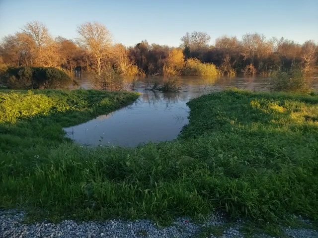 Pájaro River Park