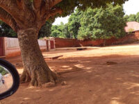 Palais du roi Agoli Agbo Travel Forum Reviews