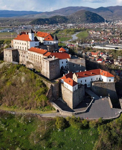 Palanok Castle