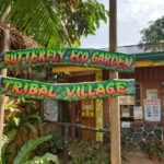 Palawan Butterfly Ecological Garden and Tribal Village