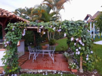 Palca Travel Forum Reviews
