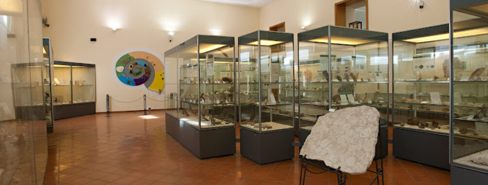 Paleontological Museum Travel Forum Reviews