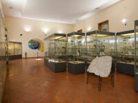 Paleontological Museum Travel Forum Reviews