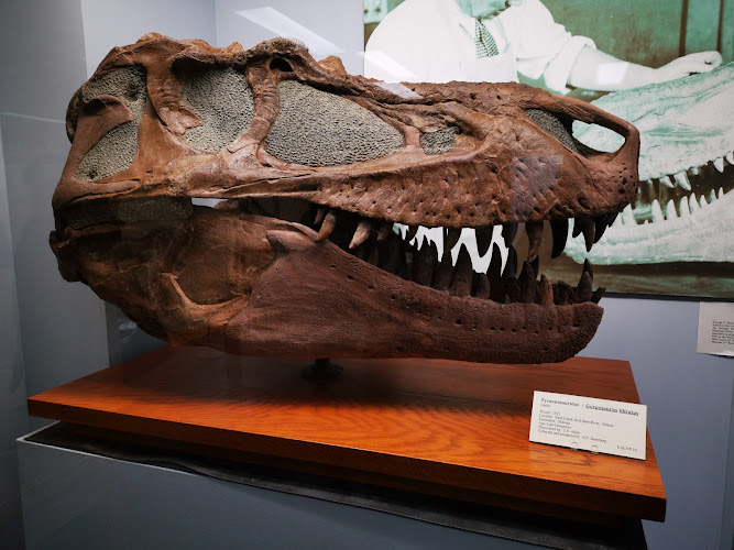 Paleontology Museum