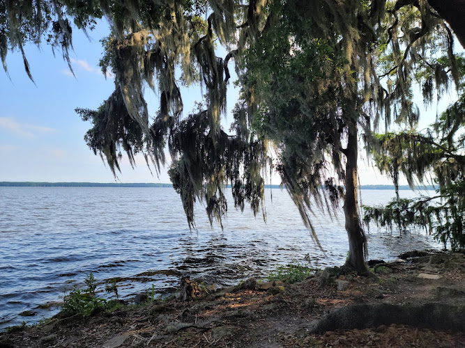 Palm Point Park