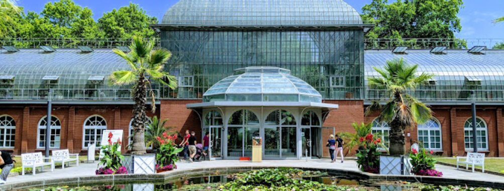 Palmengarten Frankfurt Travel Forum Reviews