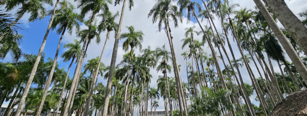 Palmtree Garden Travel Forum Reviews