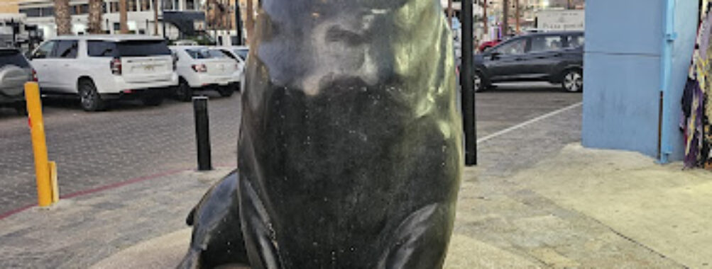 Pancho’s Statue Travel Forum Reviews