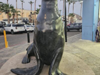 Pancho’s Statue Travel Forum Reviews
