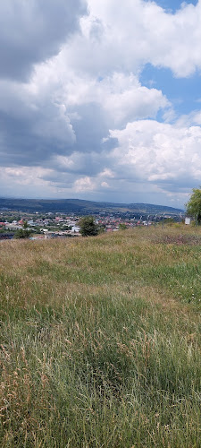 Panorama Burdujeni