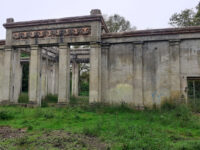 Panshanger Park Travel Forum Reviews