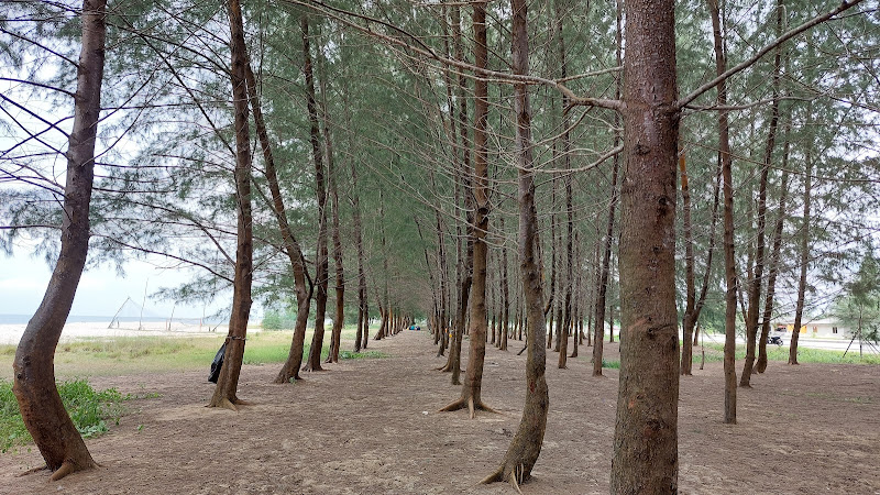 Pantai Seberang Takir