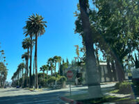 Paparazzi Celebrity Tours Travel Forum Reviews