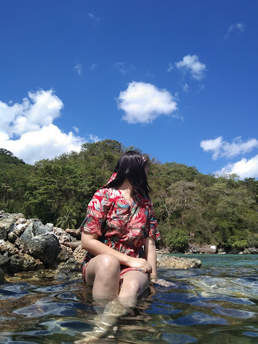 Papaya Cove Beach Resort