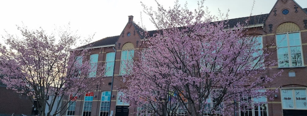 Papendrecht Travel Forum Reviews