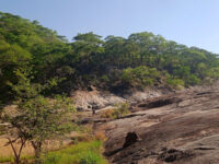 Paradise Pools - Arcadia Dam Travel Forum Reviews