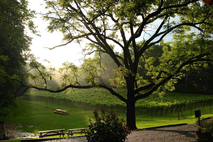 Paradise Springs Winery
