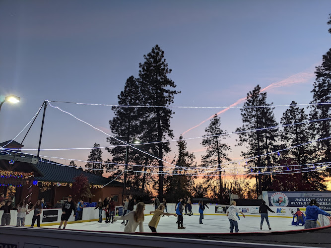 Paradise on Ice