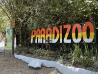 Paradizoo Theme Park Travel Forum Reviews