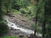 Paraje Las Palomas Travel Forum Reviews