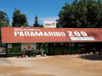 Paramaribo Zoo Travel Forum Reviews