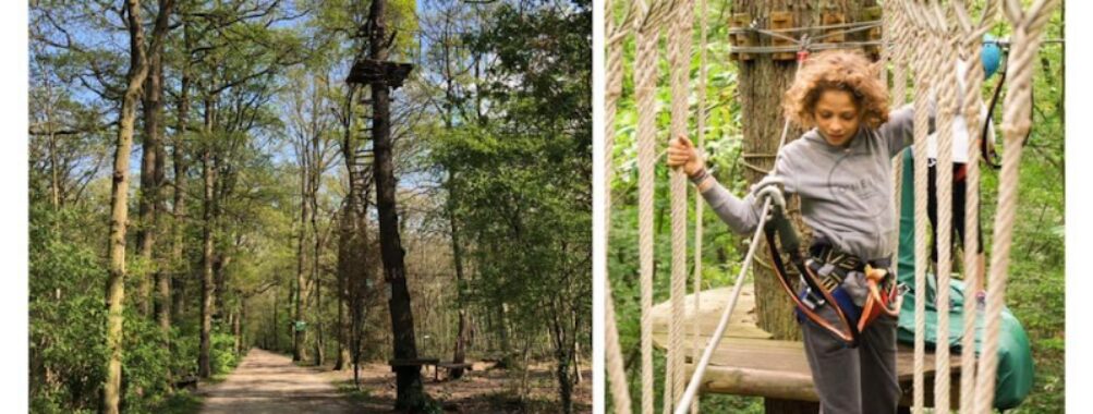 Parc Aventure Plaine Forme Travel Forum Reviews