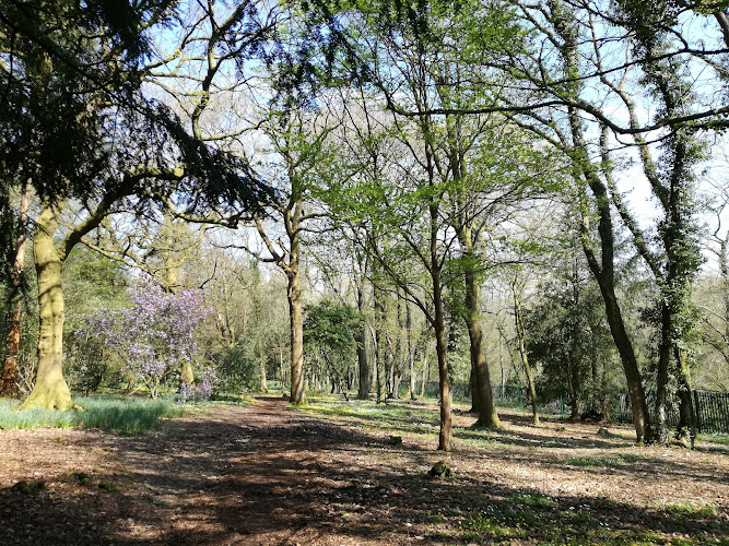 Parc Cefn Onn