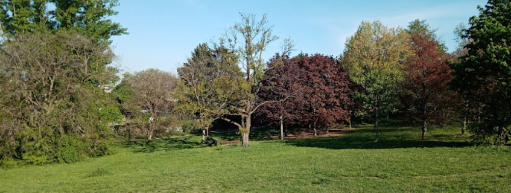 Parc Chambovet Travel Forum Reviews