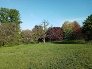 Parc Chambovet
