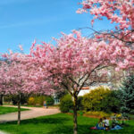 Parc Charles III