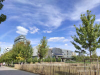 Parc Clichy-Batignolles - Martin Luther King Travel Forum Reviews