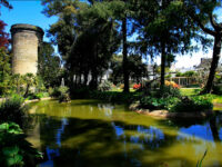 Parc Emmanuel Liais Travel Forum Reviews