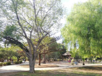 Parc Essaada Travel Forum Reviews