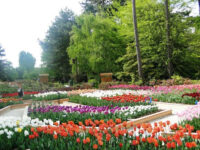 Parc Floral de Paris Travel Forum Reviews