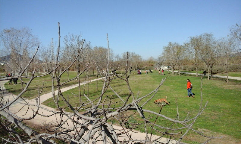 Parc Fluvial Nord Sant Boi de Llobregat