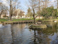 Parc Gainville - Parc des Cygnes (entrée rue des 2 ponts) Travel Forum Reviews