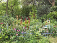 Parc Gustave Eiffel Travel Forum Reviews