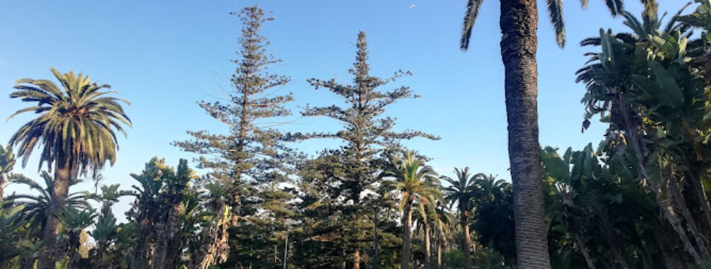 Parc Hassan II Travel Forum Reviews