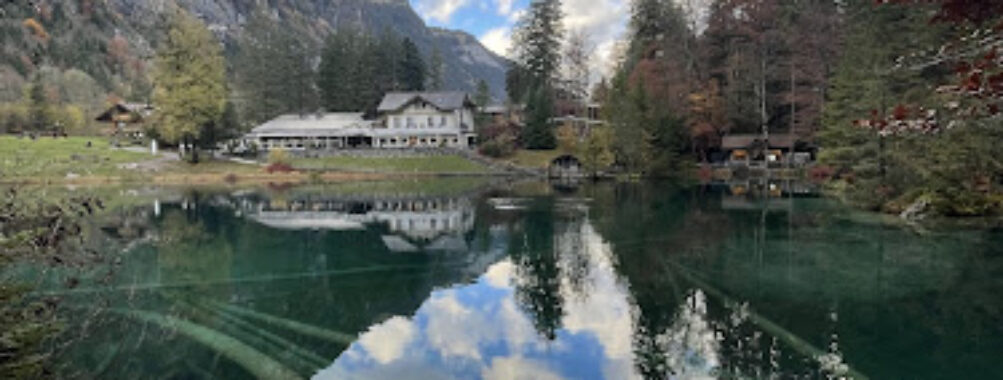 Parc Memorial Travel Forum Reviews
